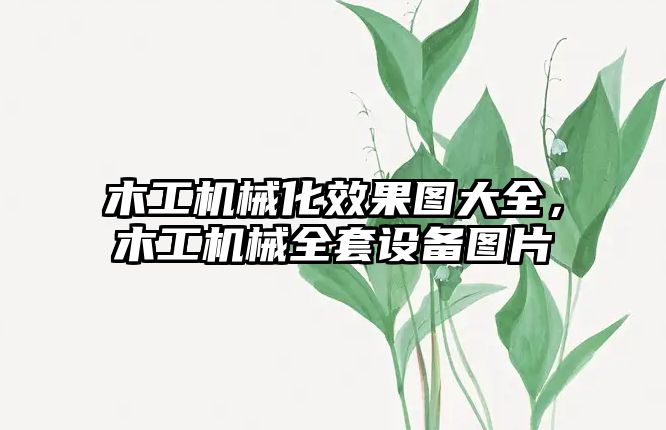 木工機械化效果圖大全，木工機械全套設備圖片